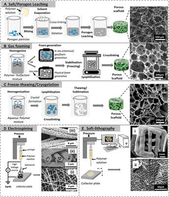 Trends in the Development of Tailored Elastin-Like Recombinamer–Based Porous Biomaterials for Soft and Hard Tissue Applications